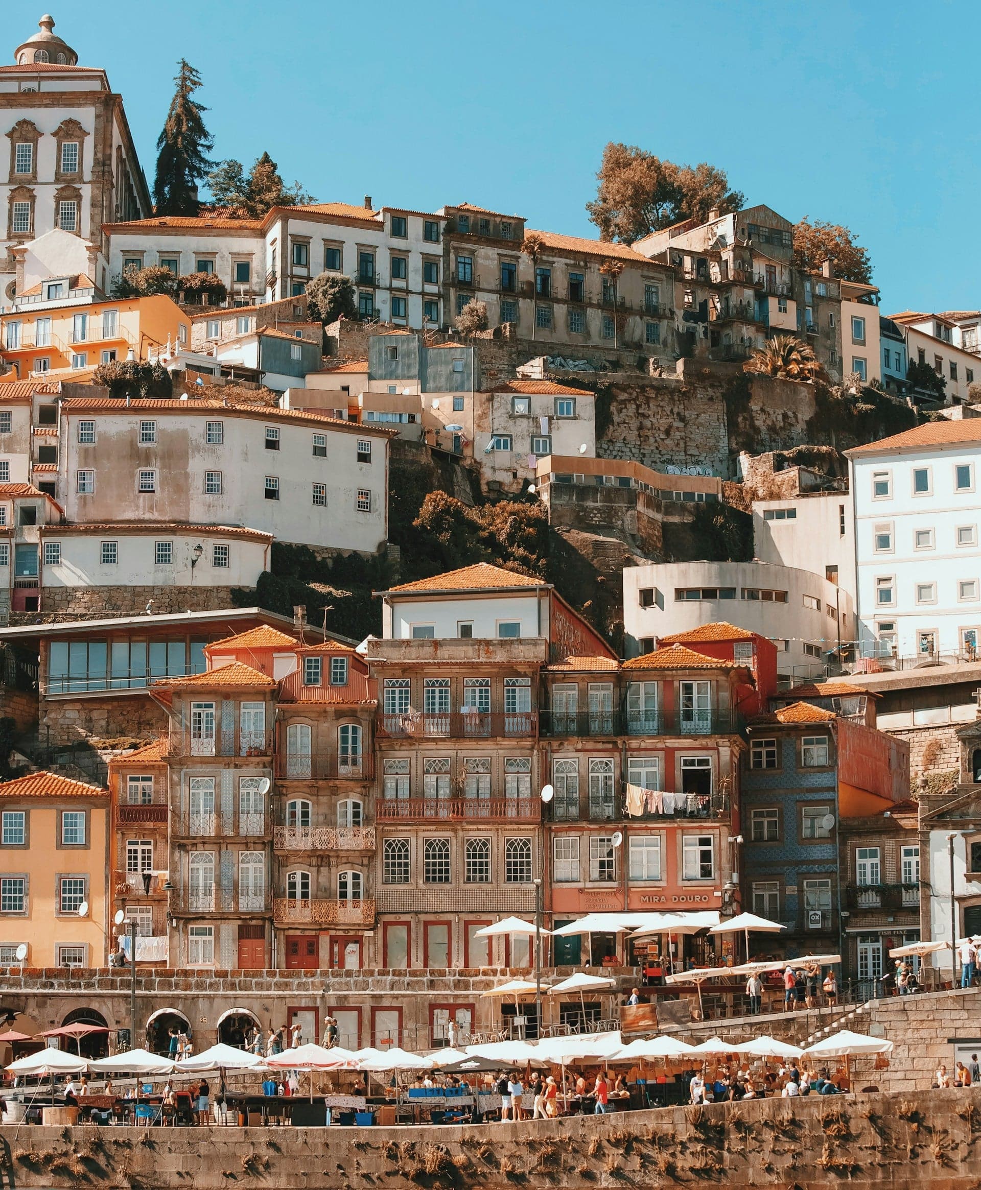 Porto Walking City Tour: Firebird Group