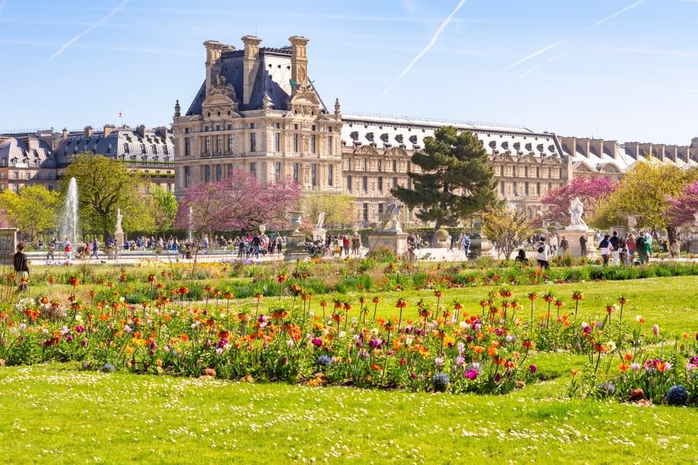 Tour of Louvre & Latin Quarter