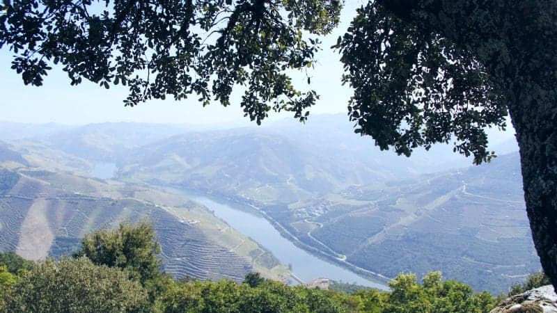 Luxury Presidential Train Ride